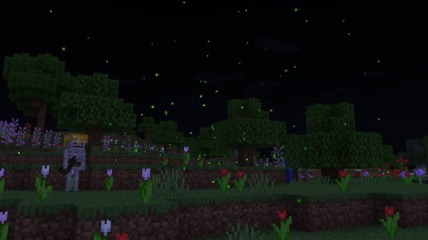 Lots of fireflies at night
