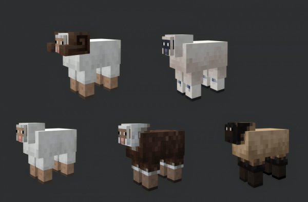 New sheep variants