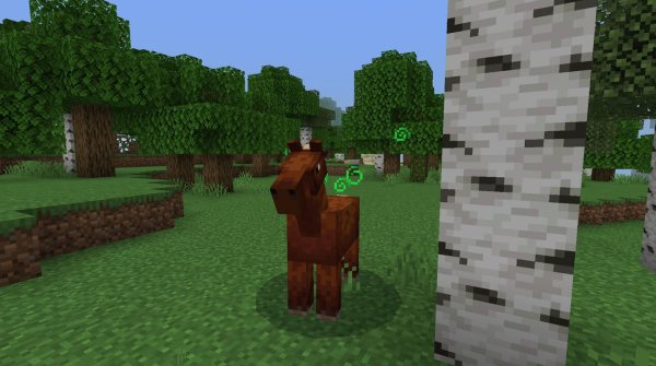 Player as Horse