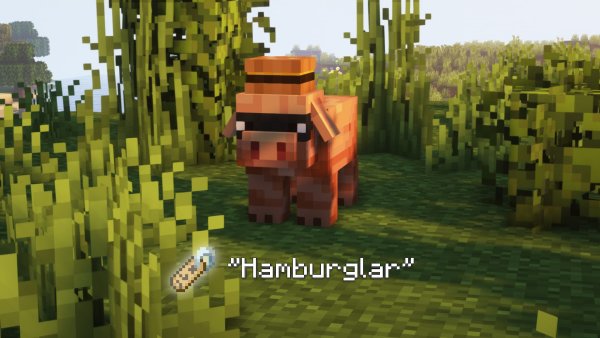 Hamburglar pig