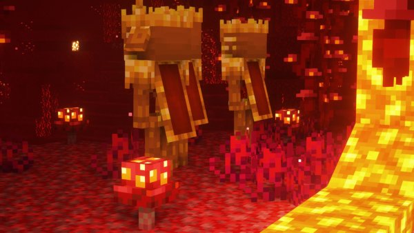 Wither Skeletons 5