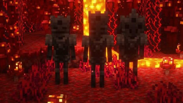 New Wither Skeletons
