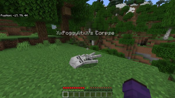 XxPogglylitxX's Corpse