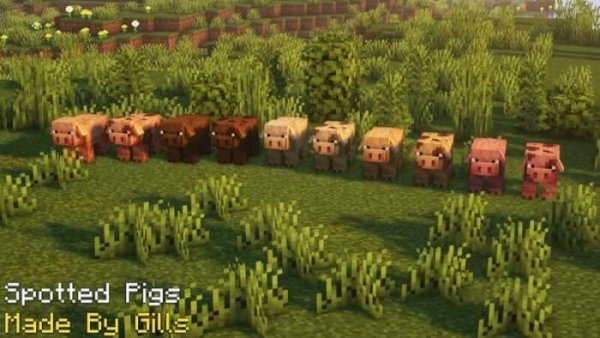 New Spotted Pig variants