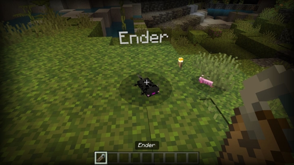 Ender Axolotl variant