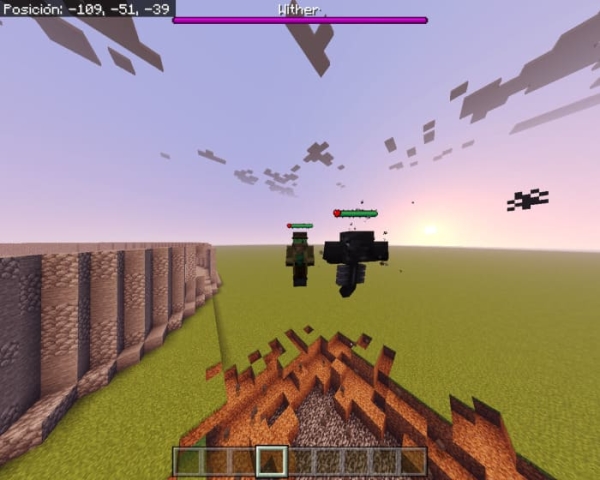 Wither and Player with health bars