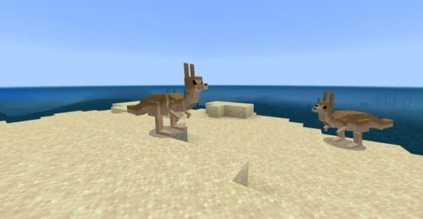 Kangaroos: Screenshot