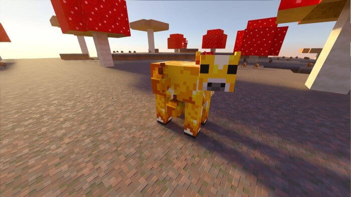Golden Apple Cow