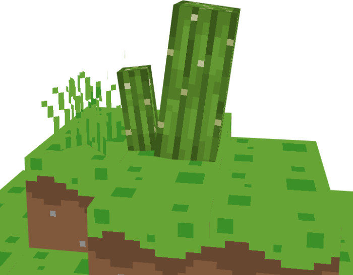 Cactus Grass (Variant 1)